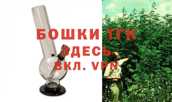 сатива Алексеевка