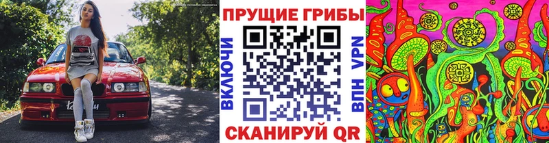 Галлюциногенные грибы ЛСД Островной